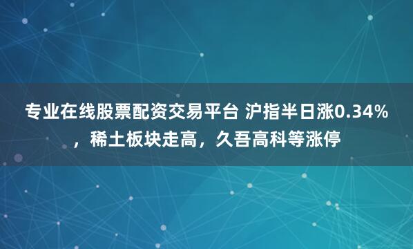 专业在线股票配资交易平台 沪指半日涨0.34%，稀土板块走高，久吾高科等涨停